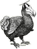 small_dodo_transparent